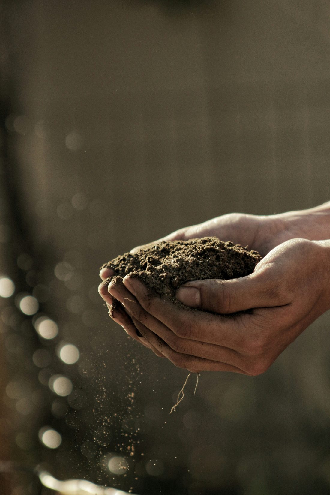 AgriShop.tn, votre partenaire agricole en Tunisie
